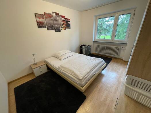 Wohnung zur Miete 580 € 1 Zimmer 56 m² Geschoss 3/4 frei ab 01.12.2025 Tannenstraße 23 Röthenbach Röthenbach an der Pegnitz 90552