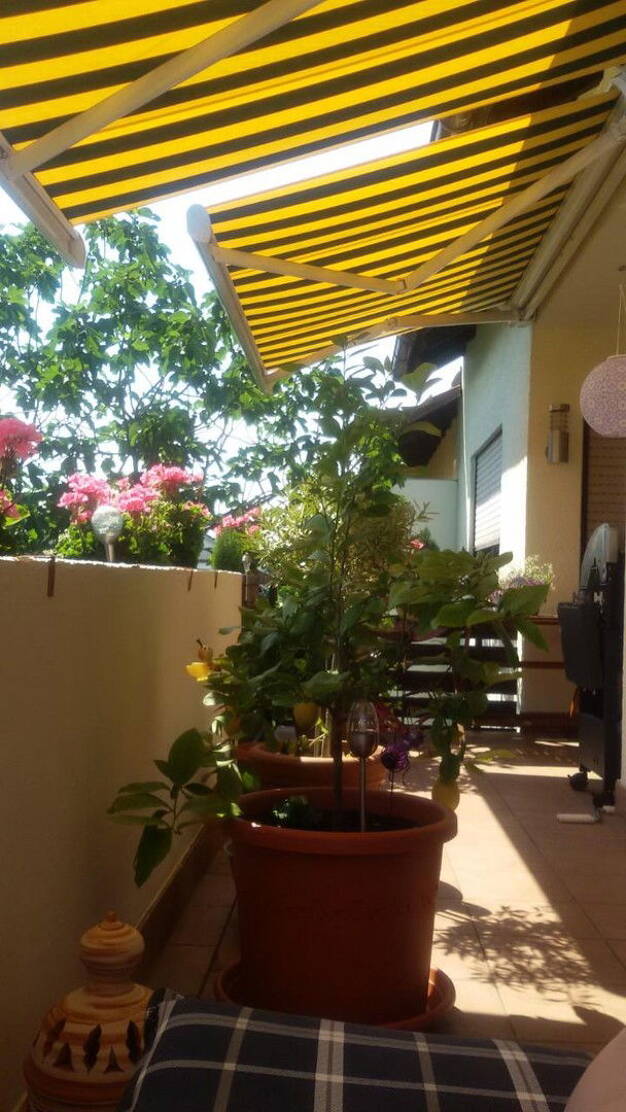 Wohnung zum Kauf provisionsfrei 475.000 € 4 Zimmer 120 m² 1. Geschoss Brühl 68782