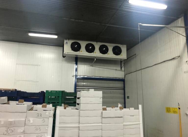 Lagerhalle zum Kauf 2.450.000 € 8.130 m² Lagerfläche Wolsztyn 64-200