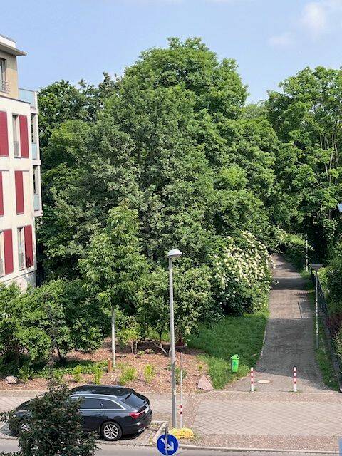 Property thumbnail 13