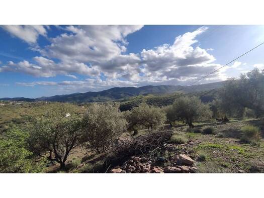 Acker-/Waldstück zum Kauf 48.500 € Riogordo 29180