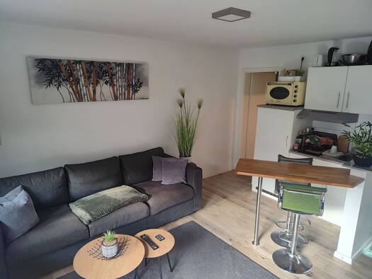 Studio zur Miete 750 € 1,5 Zimmer 45 m² EG frei ab 01.03.2026 Auerbach Bensheim 64625