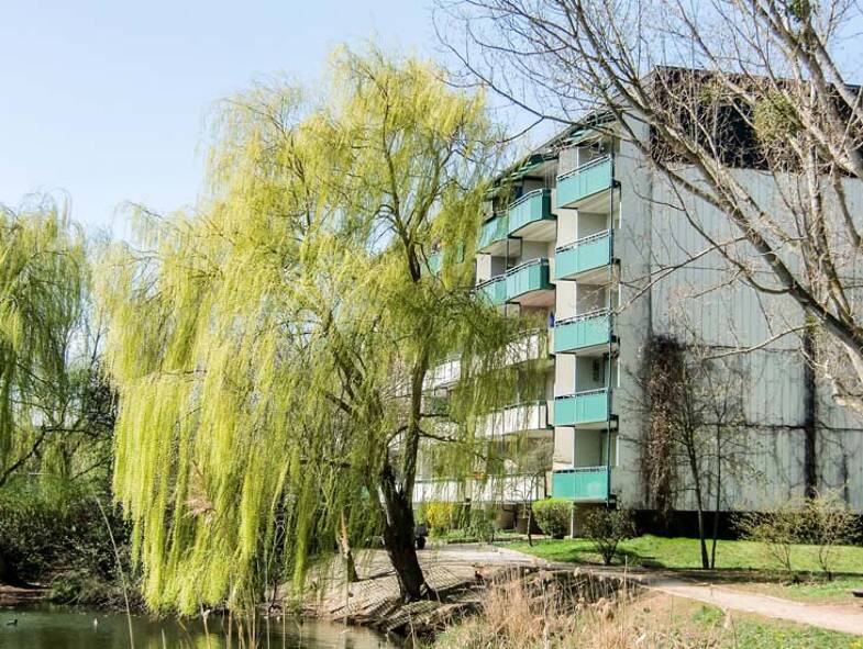 Wohnung zur Miete 425 € 3 Zimmer 64,6 m² 3. Geschoss frei ab 01.06.2025 Georg-Dreke-Ring 78 Prenzlau Prenzlau 17291
