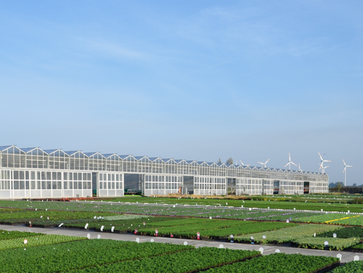 Gartenbau zum Kauf 1.250.000 € 59.334 m² Grundstück Kirchherten Bedburg 50181