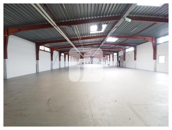 Lagerhalle zur Miete 1.500 m²<br/>Lagerfläche Meilsdorf Siek / Ahrensburg 22962