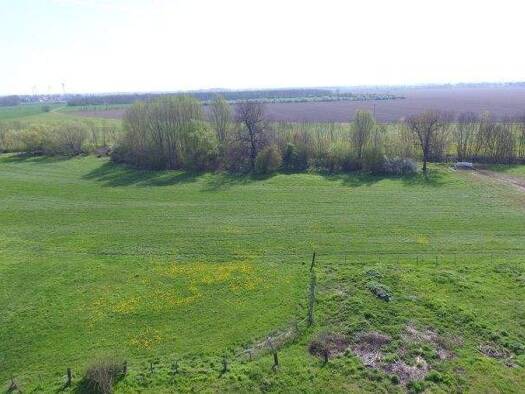 Grundstück zum Kauf 109.820 € 578 m² Grundstück Lobergasse Brodau 04509