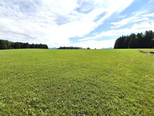 Grundstück zum Kauf 395.000 € 730 m² Grundstück Seekirchen am Wallersee 5201