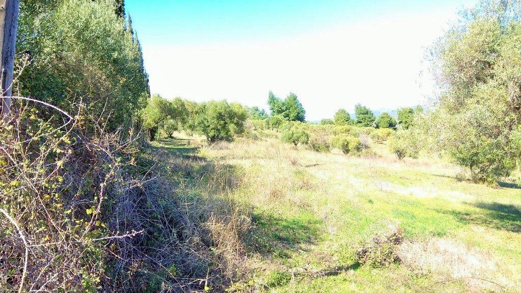 Land-/Forstwirtschaft zum Kauf 520.000 € 5.200 m² Grundstück Chalkidiki