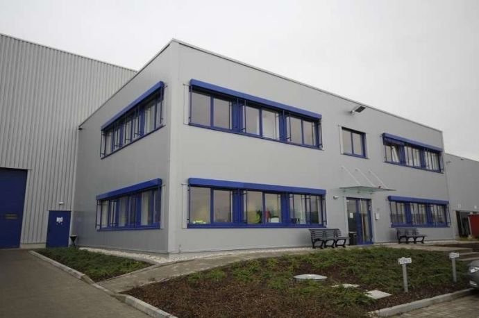 Lagerhalle zur Miete 4 € 41.500 m²<br/>Lagerfläche ab 10.000 m²<br/>Teilbarkeit - Monsheim 67590