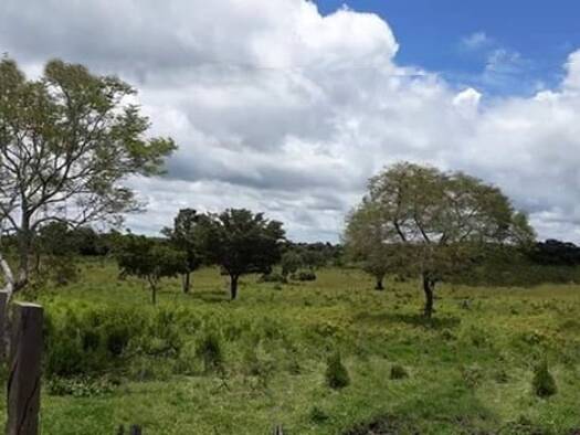 Grundstück zum Kauf 340.000 € 9.999.999 m² Grundstück Vila Ecuador 69373000