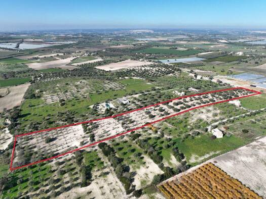 Grundstück zum Kauf 98.000 € 16.466 m² Grundstück Baugenehmigung vorhanden Noto 96017