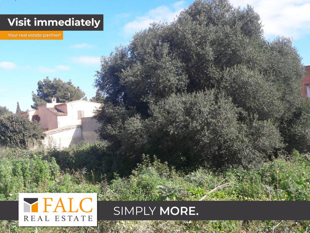 Freizeitgrundstück zum Kauf provisionsfrei 225.000 € 881 m² Grundstück Sa Coma 07560