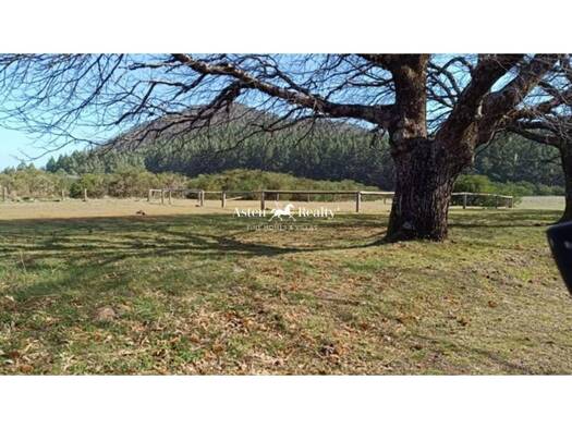 Acker-/Waldstück zum Kauf La Matanza de Acentejo 38379