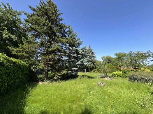 Grundstück zum Kauf 200.000 € 800 m² Grundstück Briesnitz Ortsamtsbereich Cotta 01157