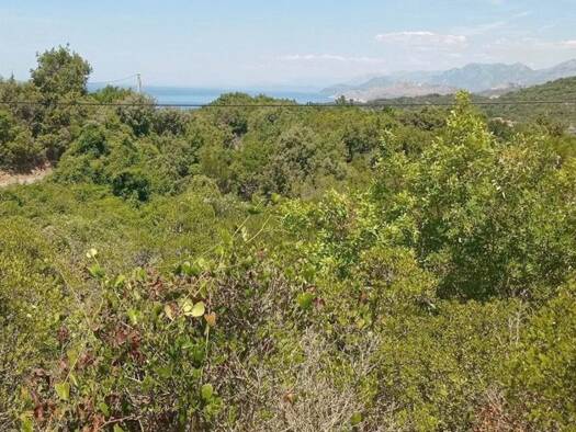 Grundstück zum Kauf 108.000 € 2.000 m² Grundstück Bar-Vidikovac 85357