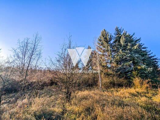 Land-/Forstwirtschaft zum Kauf 120.000 € 61.204 m² Grundstück Borna 04552