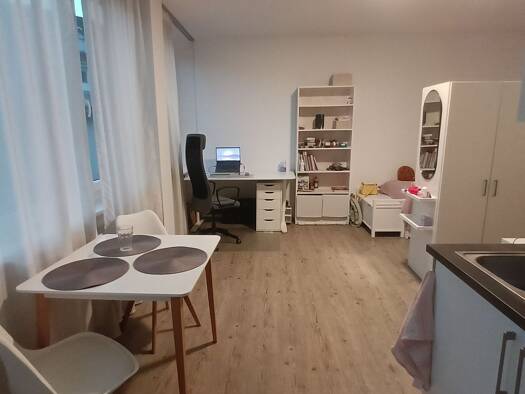 Studio zur Miete 535 € 1 Zimmer 31 m² Geschoss 1/3 frei ab sofort Lengfeld Würzburg 97076