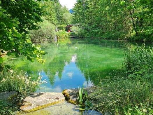 Wohnung zum Kauf 220.000 € 2 Zimmer 137 m² 1. Geschoss Ybbsitz 3341