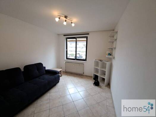 Wohnung zur Miete 270 € 1 Zimmer 18,6 m² EG frei ab 01.02.2026 Nordallee 3 Trier-Nord Trier 54292