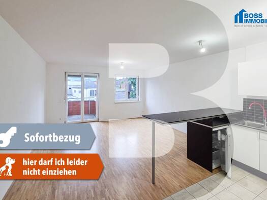 Studio zur Miete 556 € 1 Zimmer 46,4 m² 1. Geschoss Tischlerstraße 4 Traun 4050