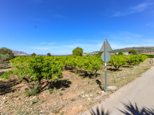 Grundstück zum Kauf provisionsfrei 170.000 € 10.571 m² Grundstück frei ab sofort Denia 03700