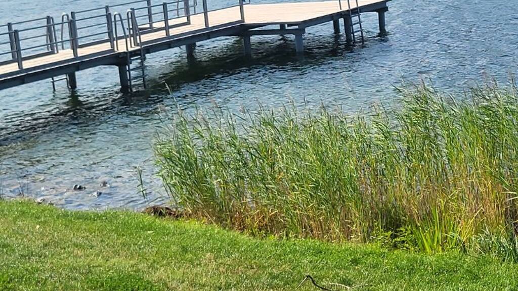 Wohnung zum Kauf 330.000 € 2 Zimmer 49 m² 2. Geschoss frei ab sofort Mühlschüttelgasse direkt an der alten Donau Wien(Stadt) 1210