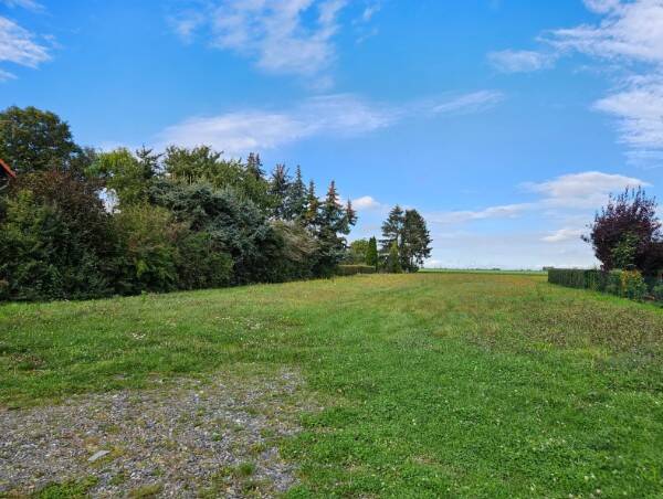 Einfamilienhaus zum Kauf - Erstbezug - Ansicht 2