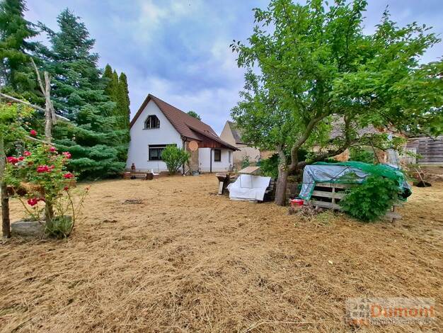 Einfamilienhaus zum Kauf provisionsfrei 99.000 € 5 Zimmer 110 m² 1.755 m² Grundstück Frankleben 06259