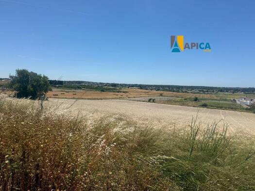 Acker-/Waldstück zum Kauf 245.000 € Chiclana de la Frontera 11130