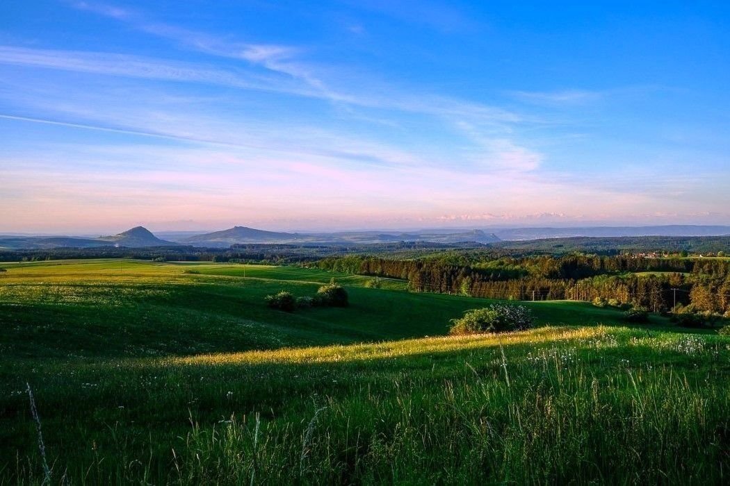 Forstwirtschaft zum Kauf 900.000 m²<br/>Grundstück Achberg 88147