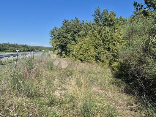 Acker-/Waldstück zum Kauf 33.333 € Bale Bale 52211