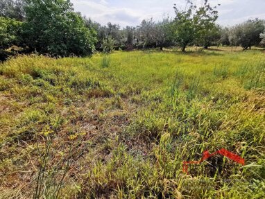 Land-/Forstwirtschaft zum Kauf 320.000 € Medulin 52203