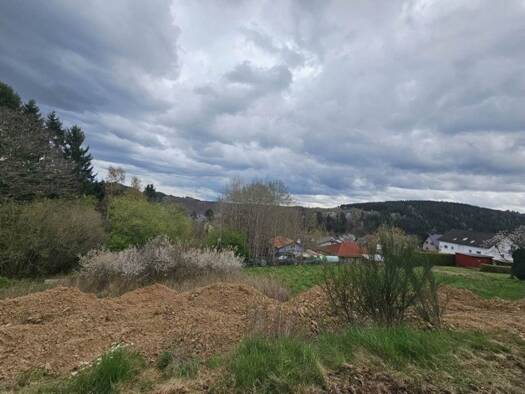 Grundstück zum Kauf 39.900 € 591 m² Grundstück Hellenthal Hellenthal 53940