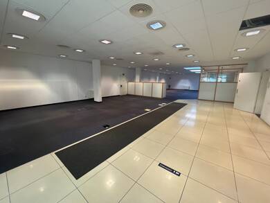 Büro-/Praxisfläche zur Miete provisionsfrei 1.900 € 325 m² Bürofläche Merseburg Merseburg 06217