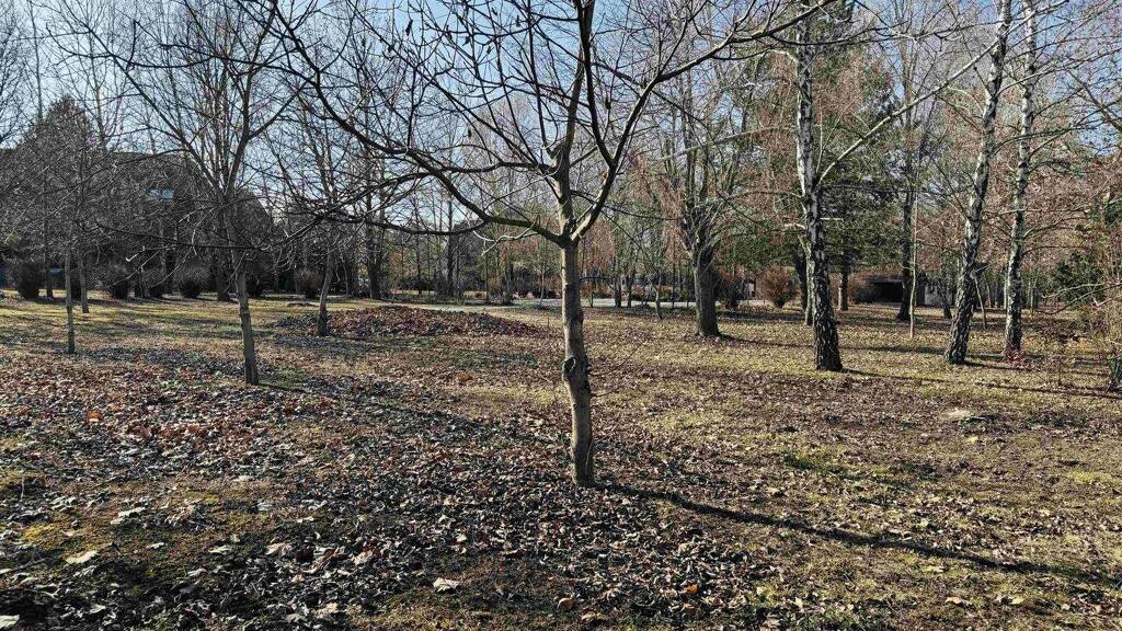 Grundstück zum Kauf 545.500 € 4.751 m² Grundstück Gárdony