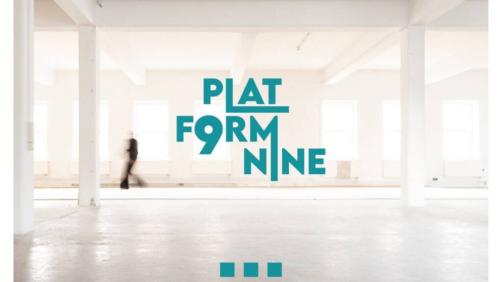 Büro zur Miete 4,50 € 256 m² Bürofläche Gärnterstraße 9 Wels 4600