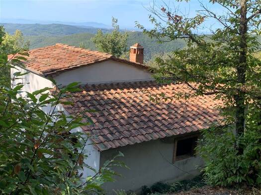 Einfamilienhaus zum Kauf - Erstbezug 98.000 € 4 Zimmer 90 m² 20.000 m² Grundstück Strada Provinciale Prata Massa Marittima 58024