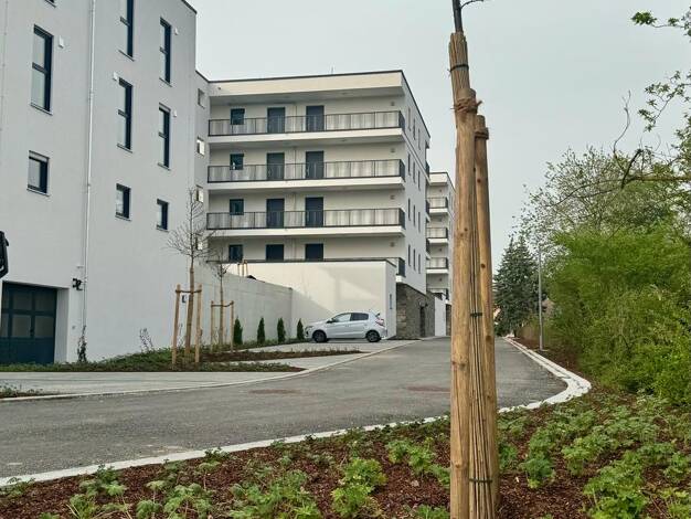 Wohnung zum Kauf provisionsfrei 258.900 € 2 Zimmer 52,9 m² 1. Geschoss frei ab sofort Dr.-Kurt-Schumacher-Straße 13b Burglengenfeld 93133