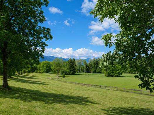 Grundstück zum Kauf 54.000 € 5.639 m² Grundstück Matzelsdorf 9872