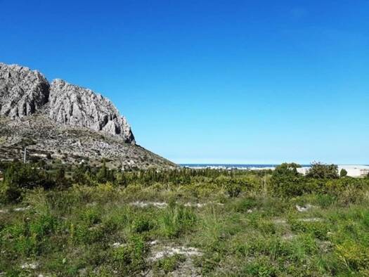 Acker-/Waldstück zum Kauf 218.640 € Ondara 03760