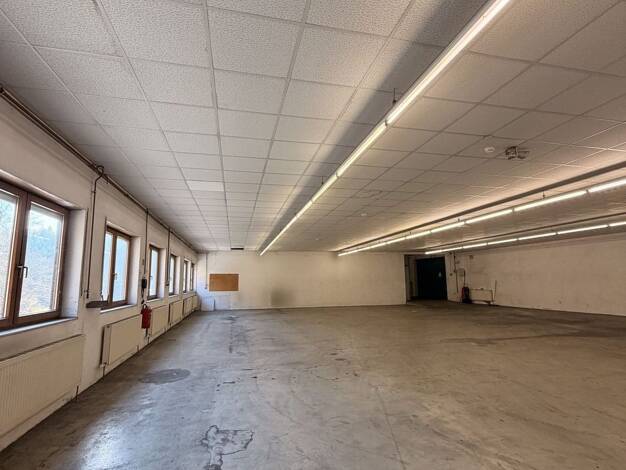 Lagerhalle zur Miete 4.038 € 950 m² Lagerfläche Straßburg 18 Wald-Michelbach Wald-Michelbach 69483