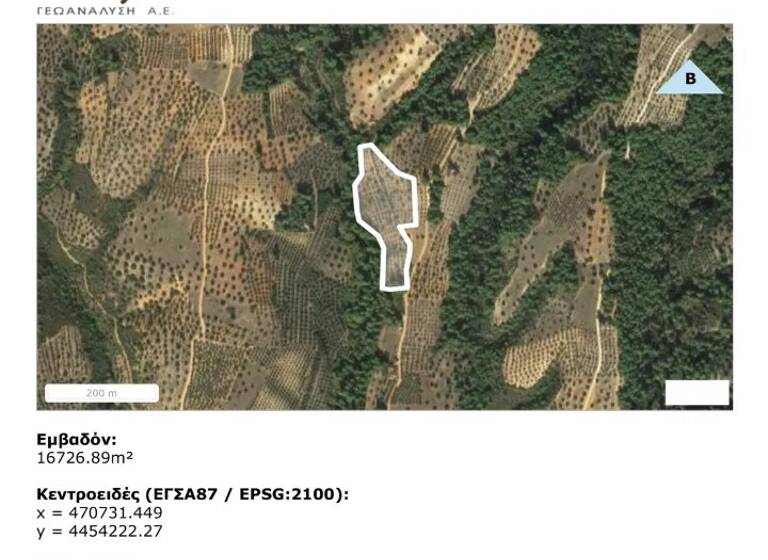 Land-/Forstwirtschaft zum Kauf 95.000 € 16.726 m² Grundstück Chalkidiki