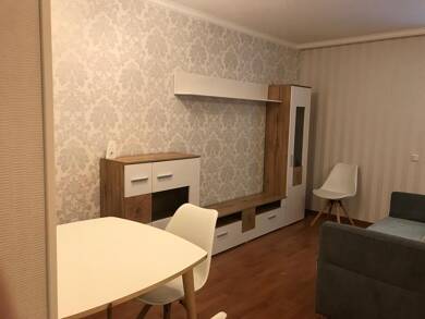 Wohnung zur Miete 700 € 1 Zimmer 49 m² EG Bad Bellingen Bad Bellingen 79415