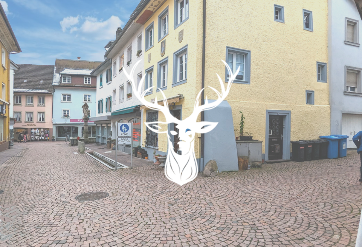 Immobilie in Waldshut-Tiengen - Renovierungsbedürftiges Mehrfamilienhaus in bester Innenstadt Lage von Tiengen zu verkaufen - Bild 0