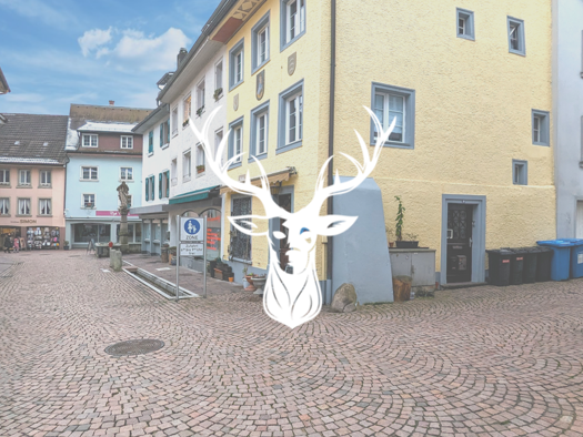 Haus zum Kauf 350.000 € 180 m² 46 m² Grundstück Tiengen Waldshut-Tiengen 79761