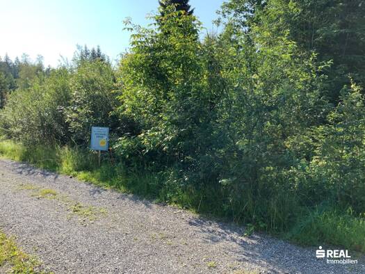 Freizeitgrundstück zum Kauf 335.000 € 566 m² Grundstück Fohren Egg 6863