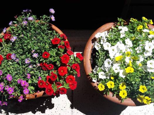 Wohnung zum Kauf 235.000 € 1 Zimmer 27,5 m² Untergiesing-Harlaching München 81545