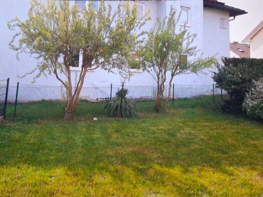 Terrassenwohnung zur Miete 730 € 2 Zimmer 56 m² frei ab 01.04.2026 Obernau Aschaffenburg 63743