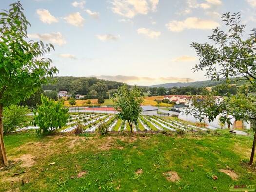 Villa zum Kauf 1.400.000 € 6 Zimmer 323 m² 2.392 m² Grundstück Minihof-Liebau 8384