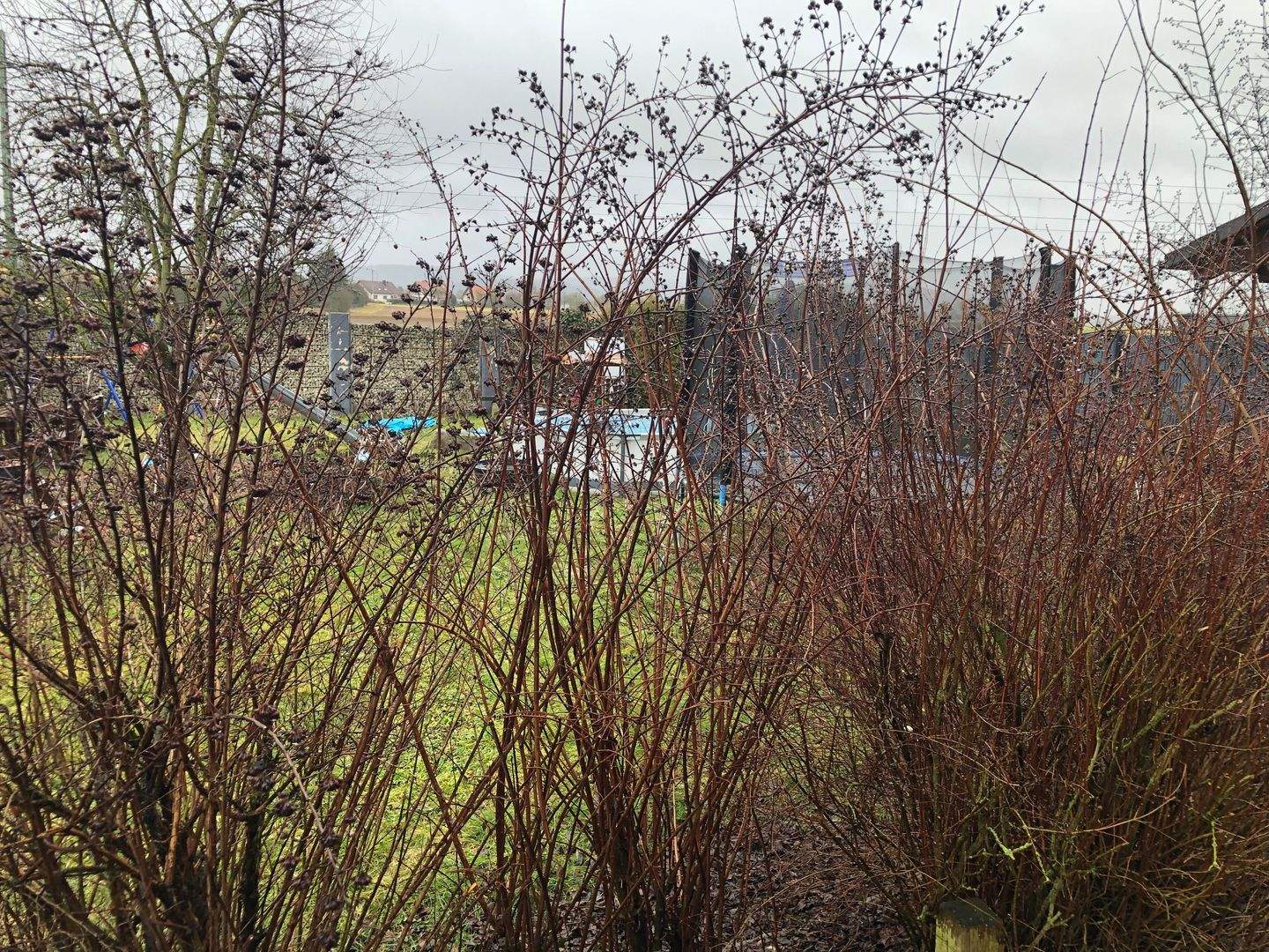 Immobilie in Bad Staffelstein - Bad Staffelstein, Mehrfamilienhaus mit guter Rendite - Bild 2